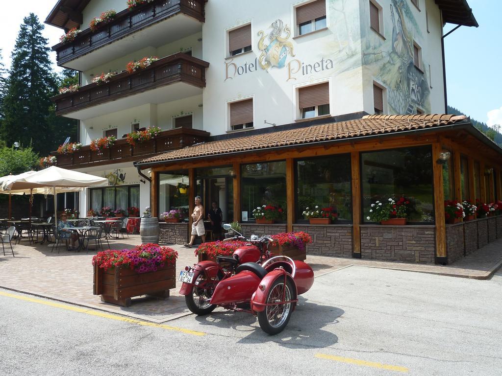 Hotel Pineta Baselga di Pinè Zewnętrze zdjęcie